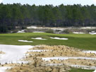 Windswept Dunes Golf Course