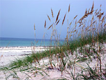 Beaches of South Walton, Ocean Front